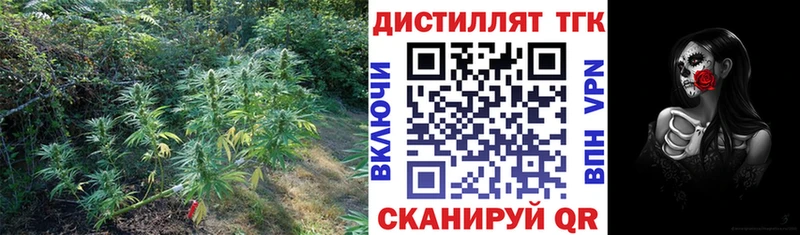 Купить закладки  Правдинск  ТГК вейп 