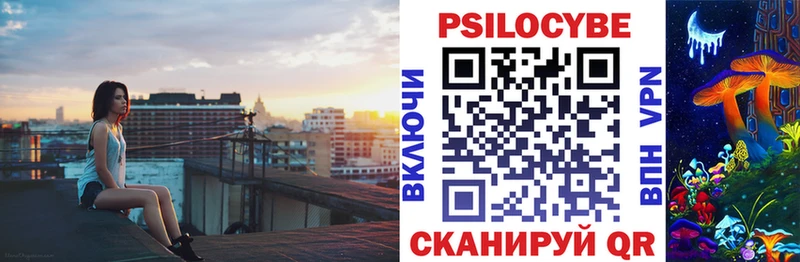 Купить закладки  Правдинск  Галлюциногенные грибы Psilocybe 