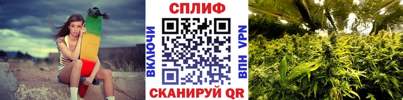 Конопля Ganja Правдинск